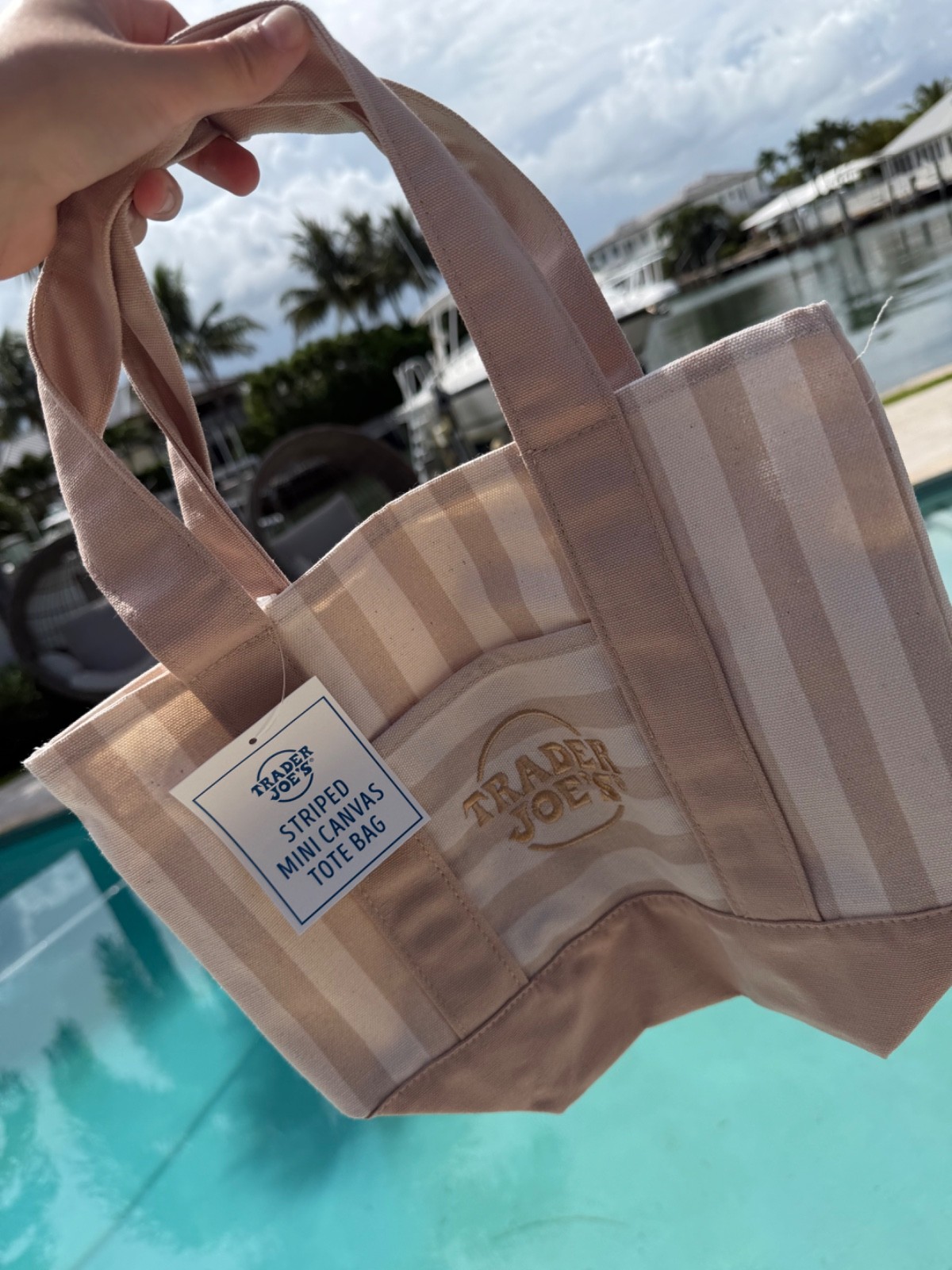 ALL 4 Limited Summer Edition Trader Joe’s mini canvas tote bag SET OF 4
