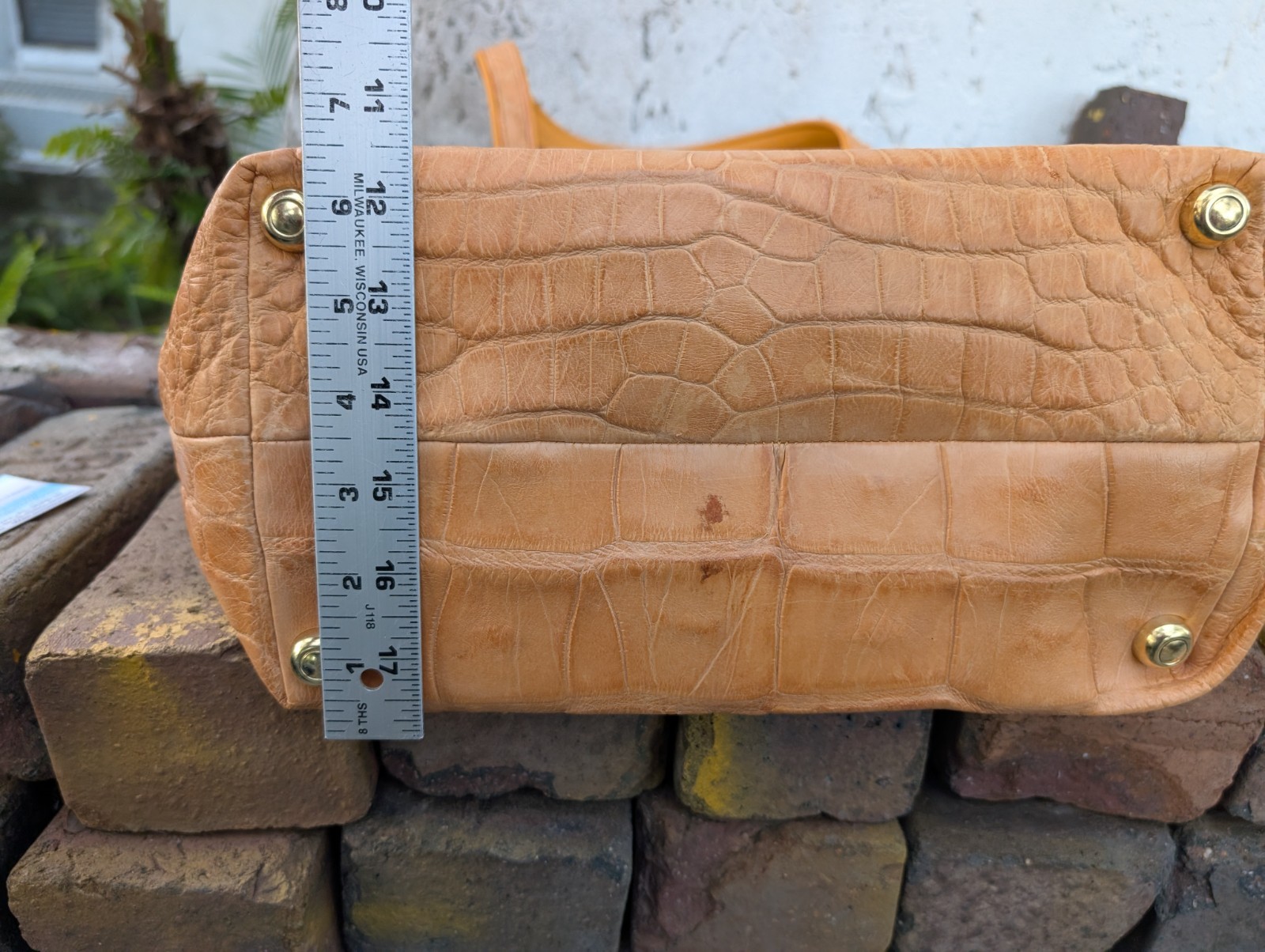 Genuine Wild Alligator Ladies Carry Bag Purse Tote gator swamp leather MR61