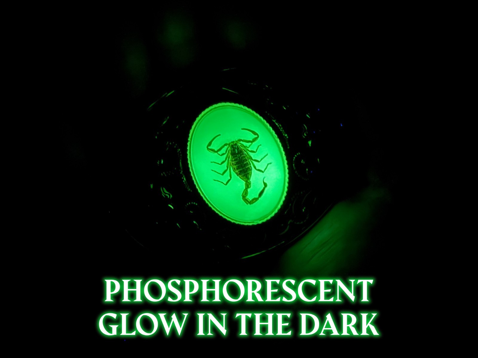 Western Scorpion Belt Buckle Real Scorpion Resin Glow in Dark. For 1.5″ Belt