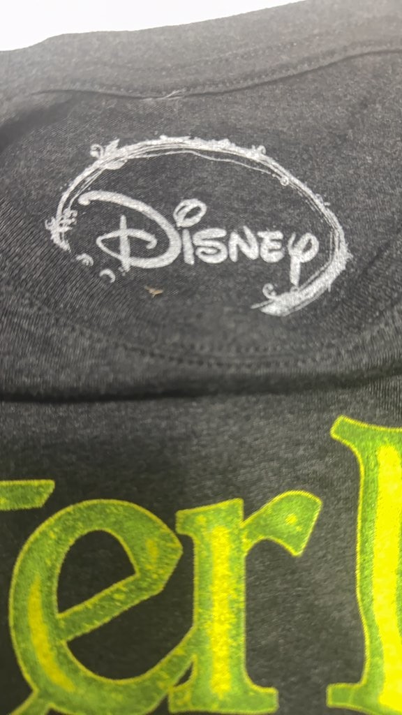 Disney Peter Pan Graphic T-Shirt