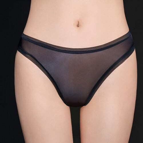 4 Pack Lot Women Sheer See-through Briefs Panties Underwear High Cut Lingeries