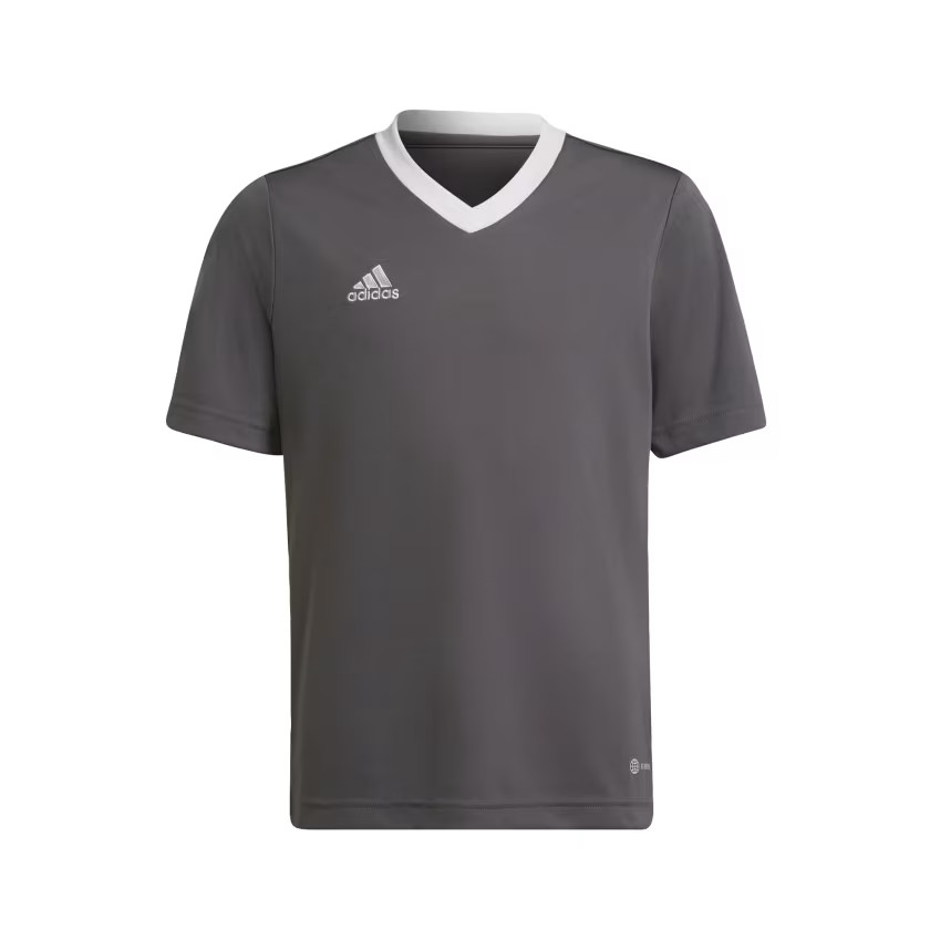 adidas kids Entrada 22 Jersey
