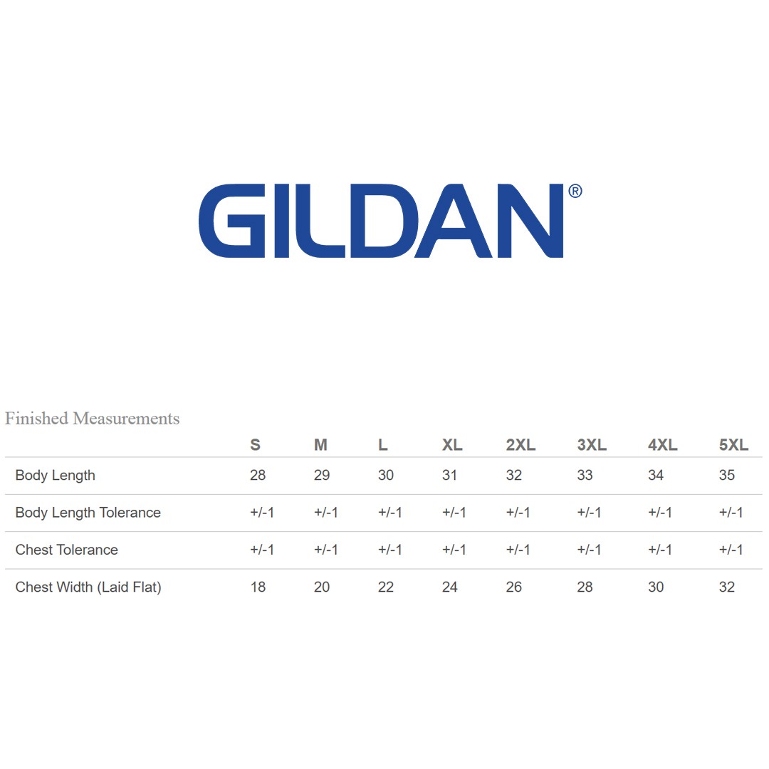 10 Pack Of Gildan G200 Adult Ultra Cotton Fashion T Shirt Blank Stylish T-Shirt