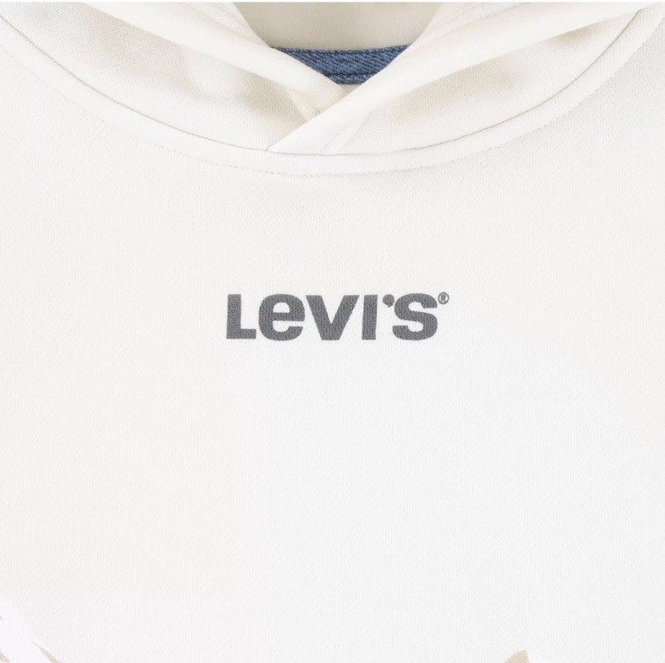 Levi’s Boy’s Hoodie Easy Fit Soft Fleece Size XS (4-5) Dark Shadow Pine Trees