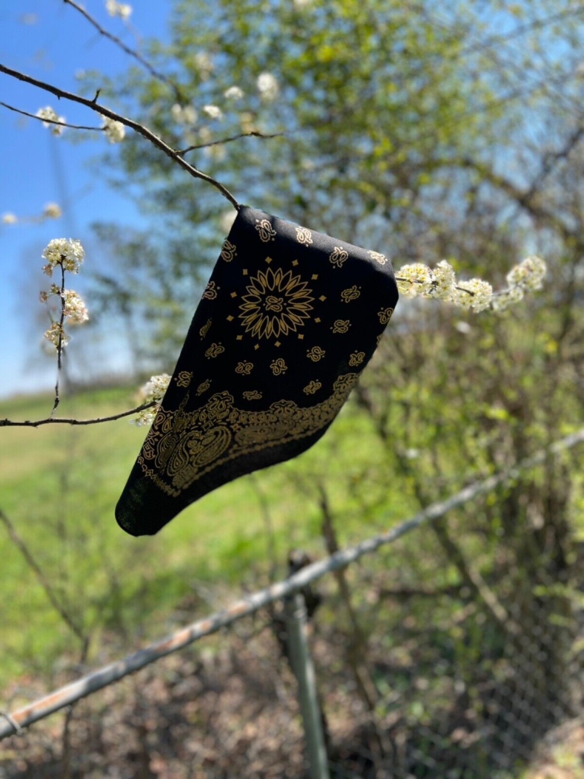 Black/Gold Paisley Bandanna, 22″x22″, Made in India, Hav-A-Hank
