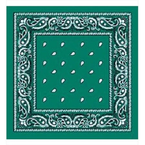 3 Teal Green Paisley Bandana Cotton Face Mask Cover HeadWrap Scarf Lot Bandanna