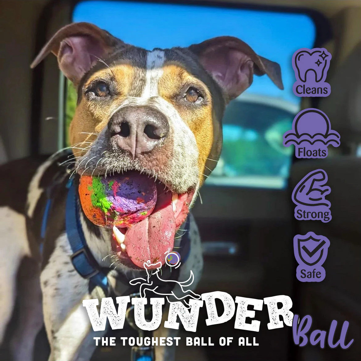 WUNDERball – Best Fetch Toy