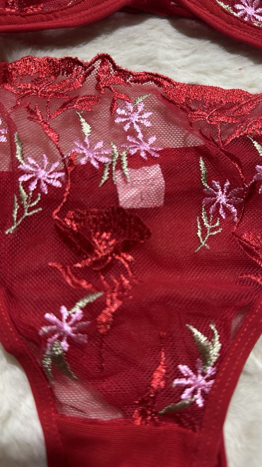 Red Lace Mesh Bra & Panties Set, Floral, Size L, New