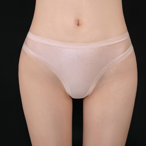 4 Pack Lot Women Sheer See-through Briefs Panties Underwear High Cut Lingeries
