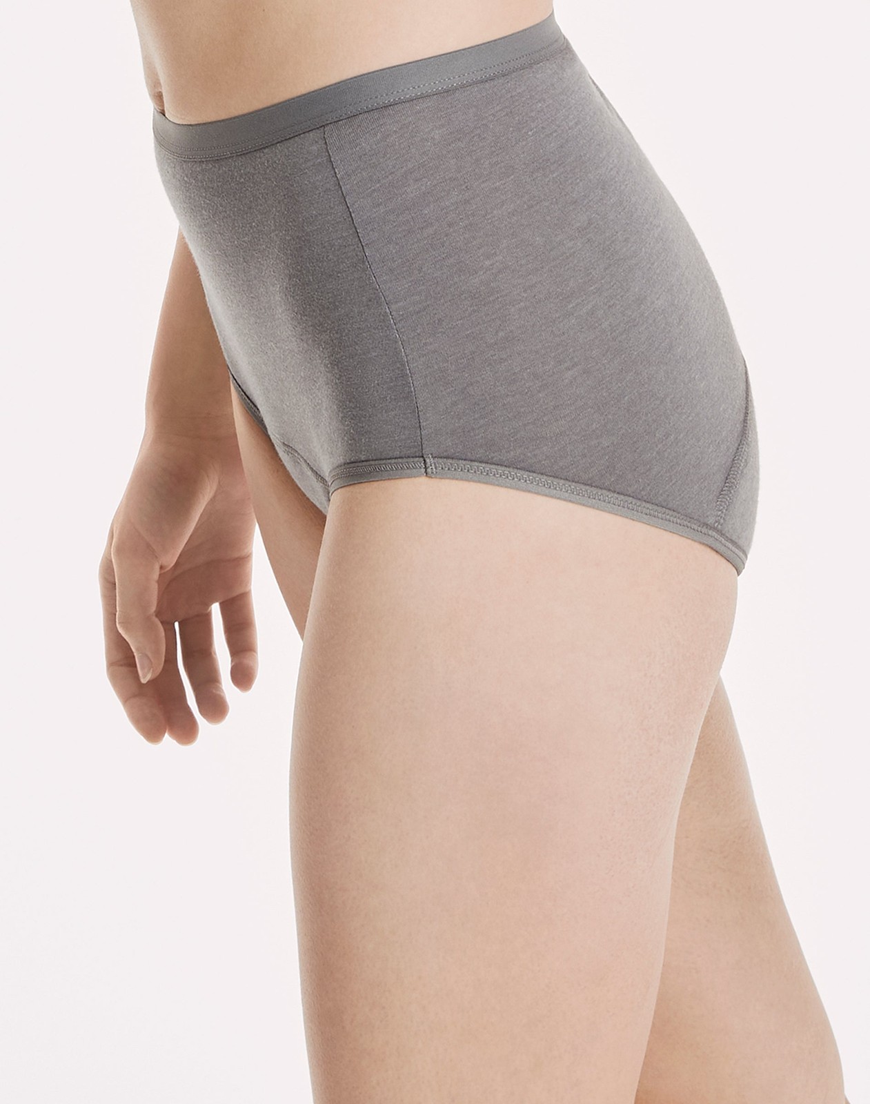 Hanes Brief 3-Pack Panties Fresh & Dry Moderate Leak Protection Womens Underwear