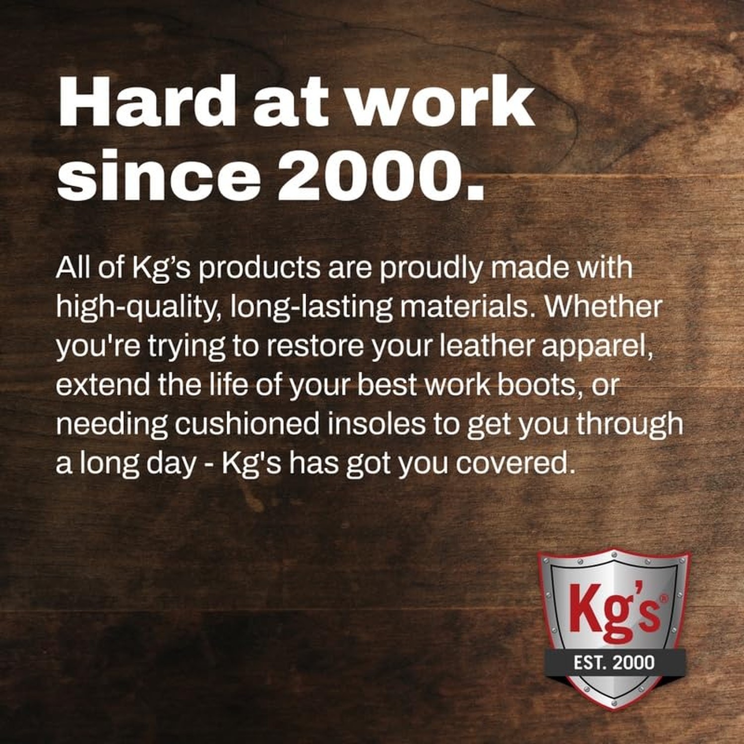 Kg’s Shoe Shine Kit Includes Polish, Horsehair Brush, Applicator, and Storage…