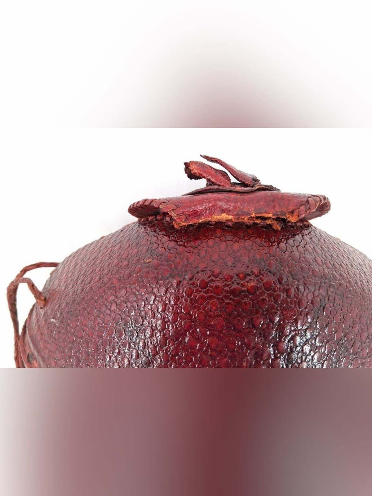 Vintage 1940s Armadillo Taxidermy Purse Leather Braided Strap Red Lining