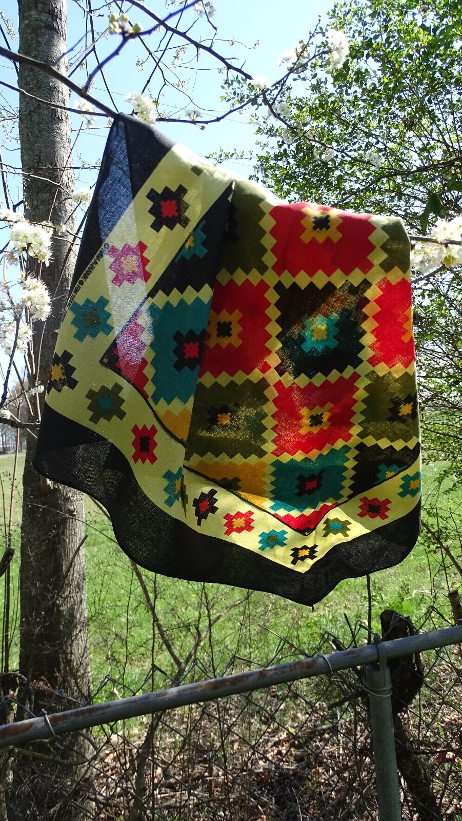 Southwest Argyle 22×22 Bandanna
