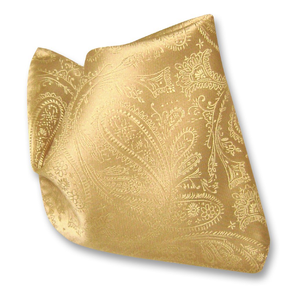 Vesuvio Napoli PAISLEY Design Men’s Hankerchief Pocket Square Mens Hanky Hankie