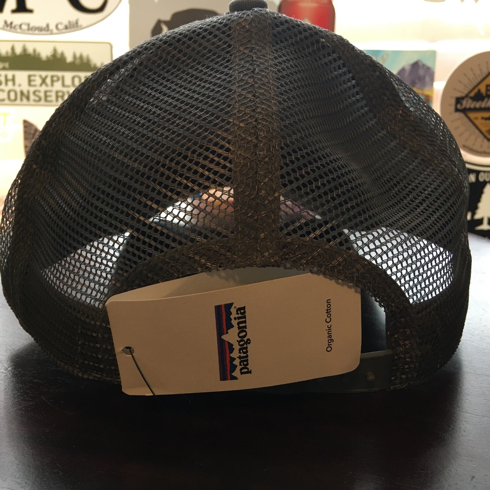 Patagonia Moonset LoPro Trucker Hat SPRING 2016