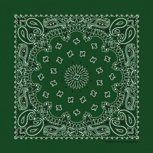 Hunter Green Paisley 22×22 Bandanna, Made in USA, great for crafts customes