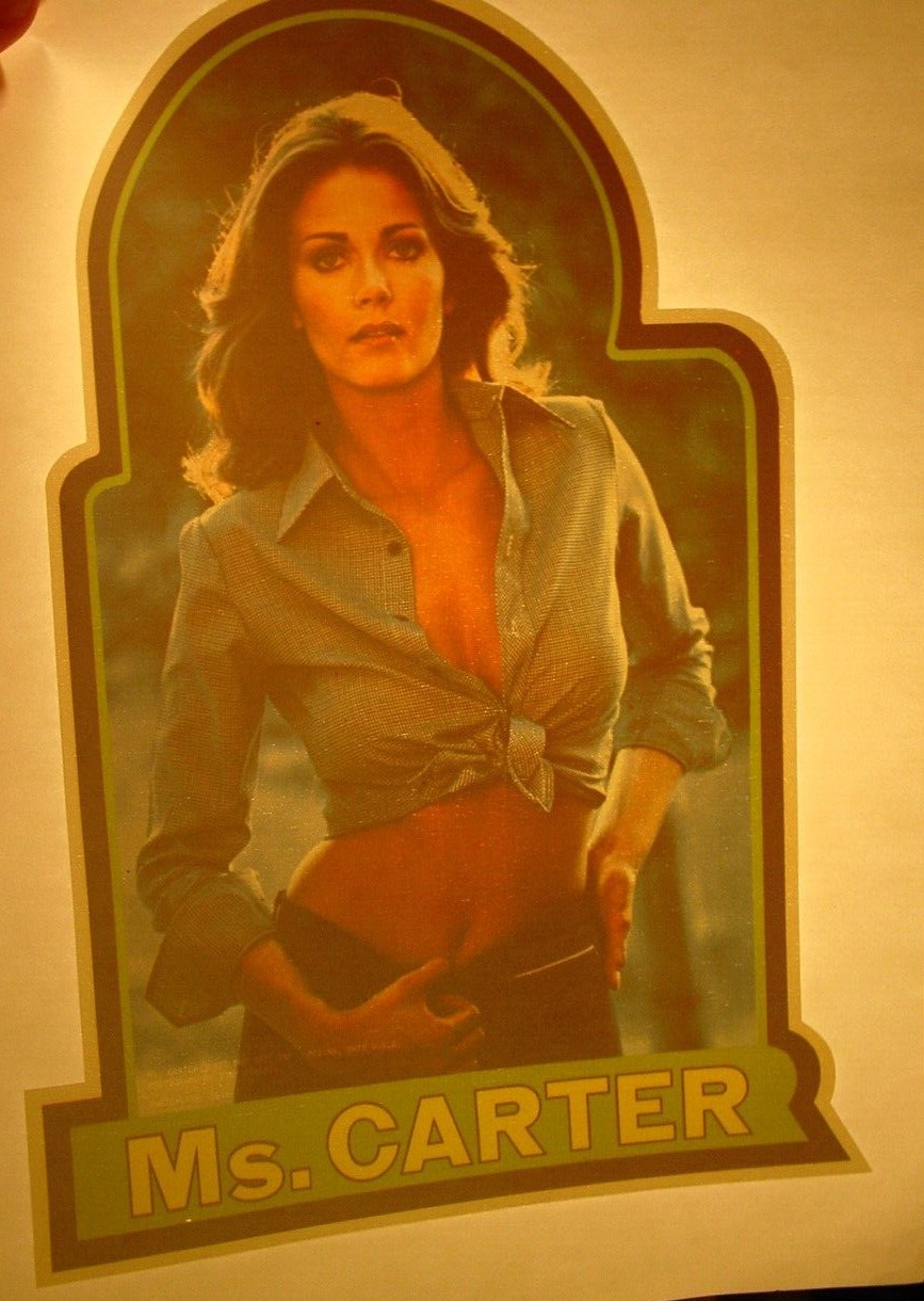 LINDA CARTER SEXY WOMAN VINTAGE 1970’s MOVIE IRON ON TRANSFER B-10 -NICE!