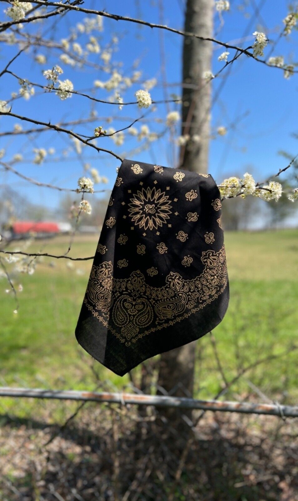 Black/Gold Paisley Bandanna, 22″x22″, Made in India, Hav-A-Hank