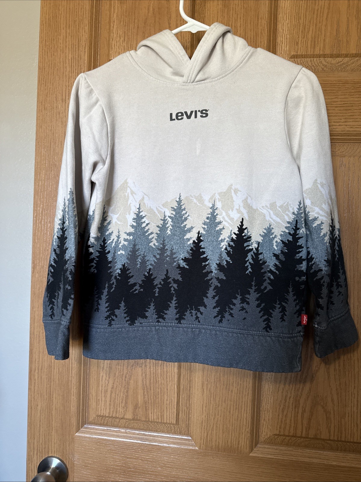 Levi’s Youth L(10-12) Hoodie Pullover Lt Grey,black & grey Tree’s, tan Mountain