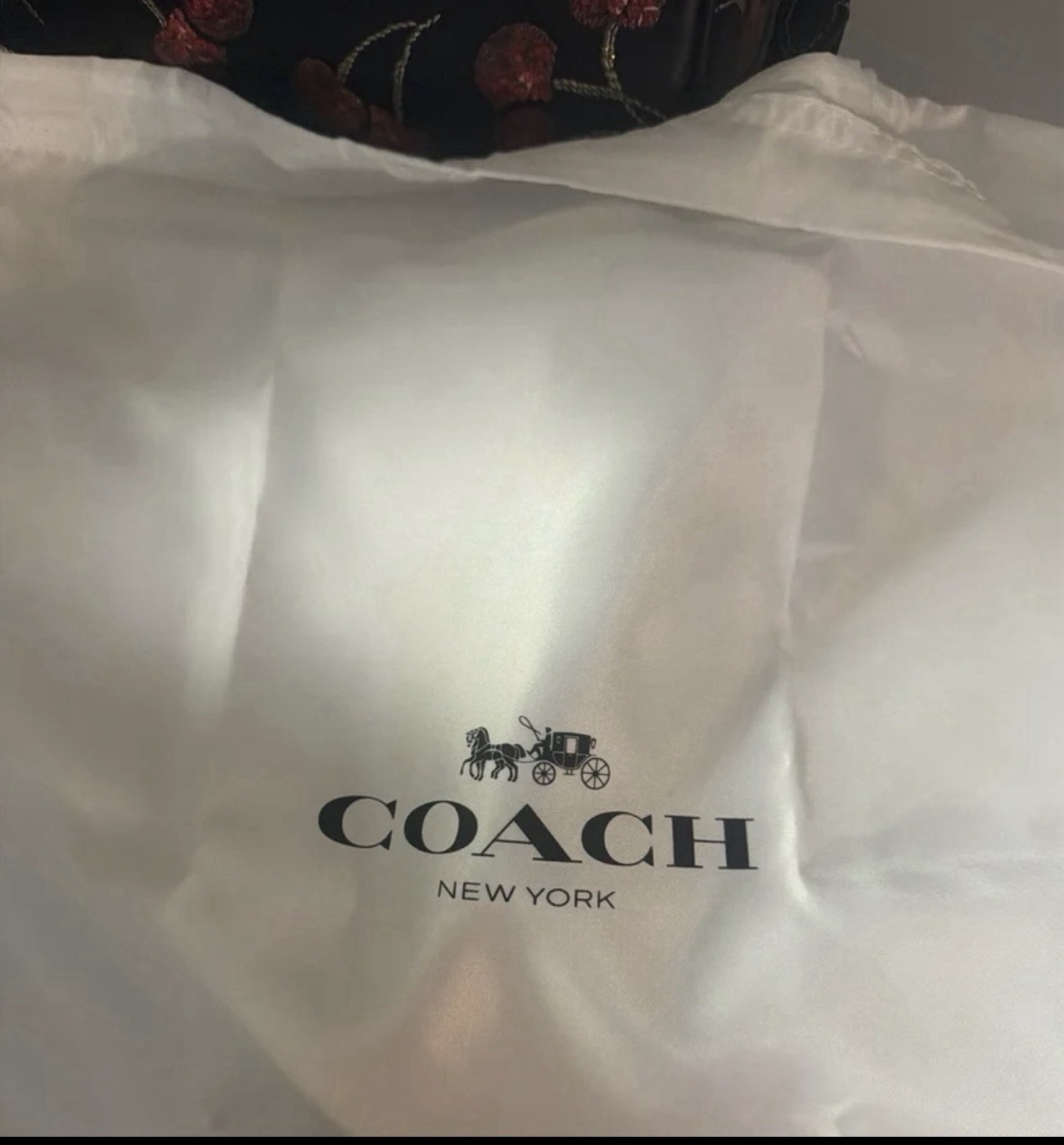 Coach Rowan Satchel Bag With Cherry