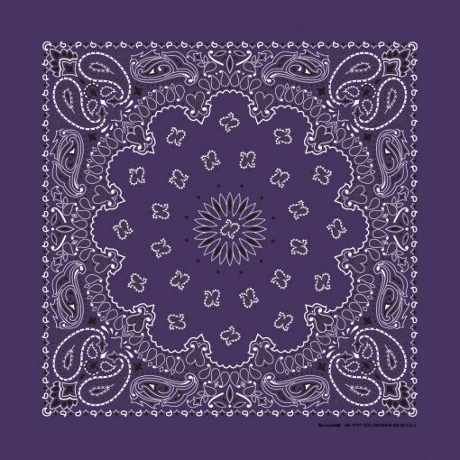 Plum Paisley 22×22 Bandanna