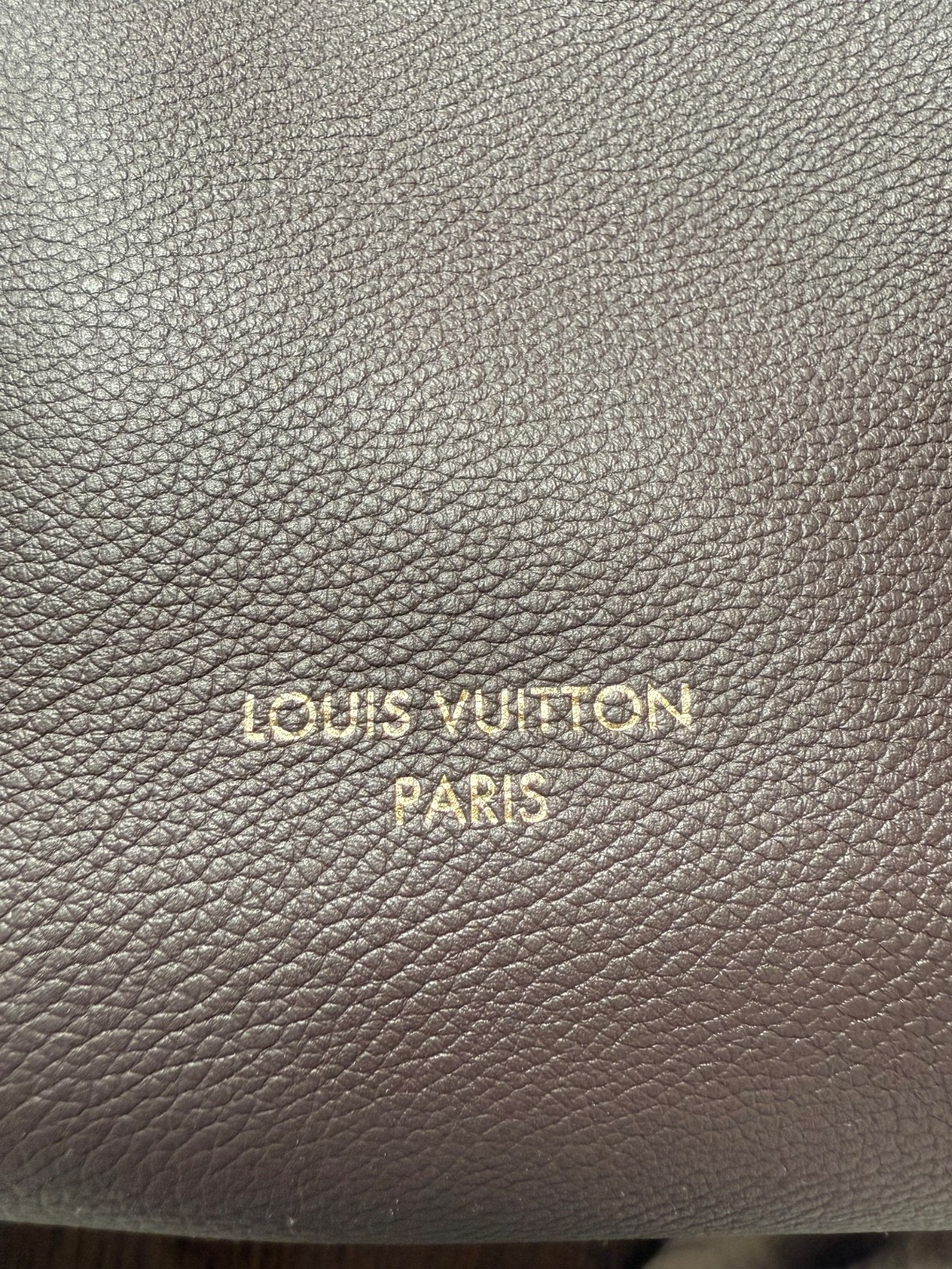 Authentic Louis Vuitton Lowkey Hobo MM in EBENE. Very rare, sold out everywhere