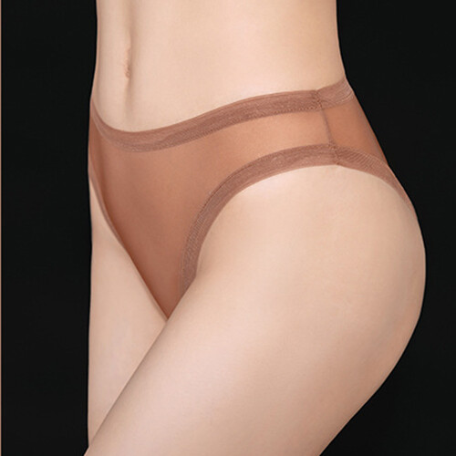 4 Pack Lot Women Sheer See-through Briefs Panties Underwear High Cut Lingeries