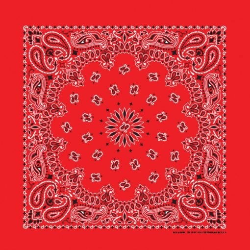 Red Paisley 22×22 Bandanna