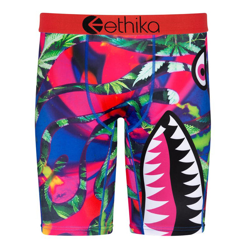 5 Pack Ethika Men’s The Staple Boxer Briefs – Models 2026 (Random Color)