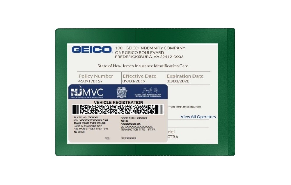 Green Car Insurance Registration Document Holder – 1 Pack