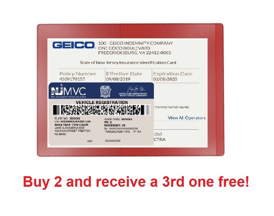 Red Car Insurance Registration Document Holder – 1 Pack