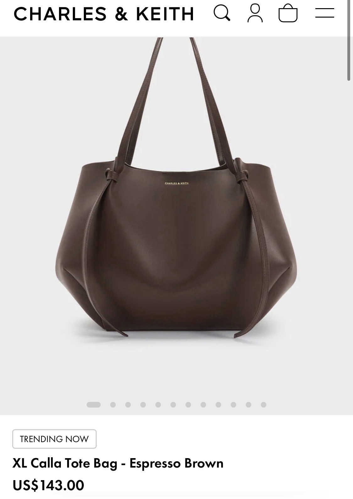 CHARLES & KEITH Women’s XL Espresso Brown Tote Bag Shoulder Strap Solid