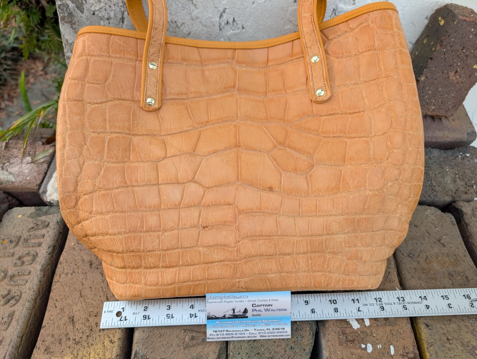 Genuine Wild Alligator Ladies Carry Bag Purse Tote gator swamp leather MR61