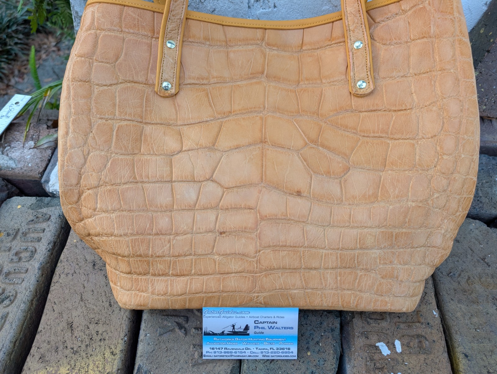 Genuine Wild Alligator Ladies Carry Bag Purse Tote gator swamp leather MR61