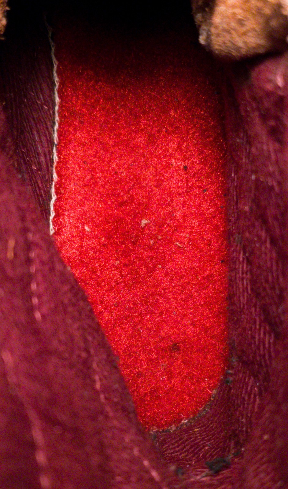 Irish Setter 815 Supersole Boots Size 9D with Tuff Toe (Soft Toe) (USA)