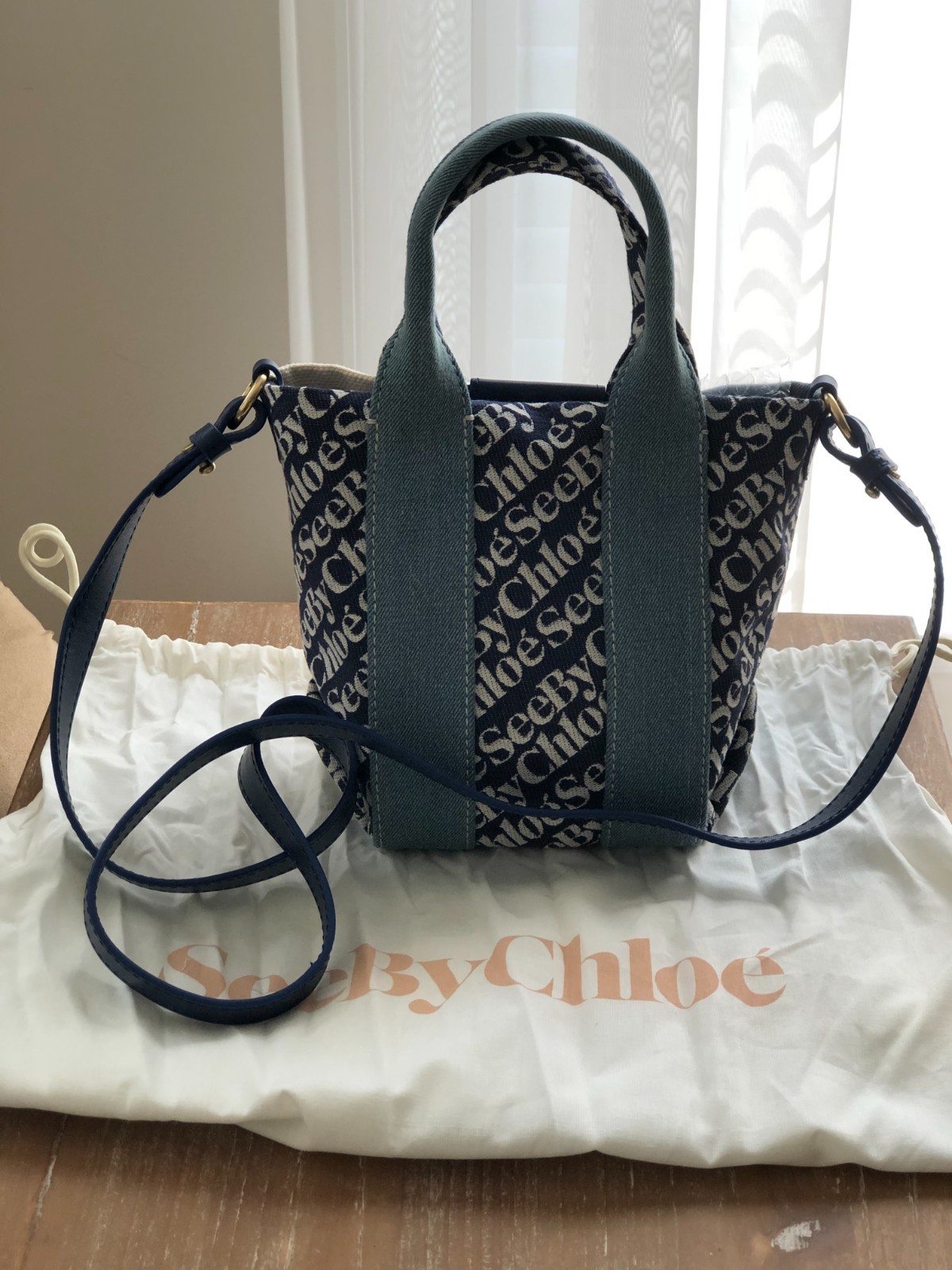 Designer Hanbag Lot, See by Chloe, Louis Vuitton