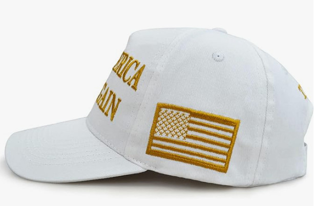 Trump 2024 Take America Back Hat Red Baseball Cap MAGA US Seller!