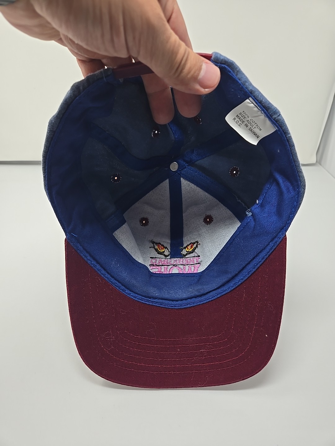 Vintage 2-Tone The Big Bad Wolf Rollercoaster Bush Gardens Snapback Hat Logo