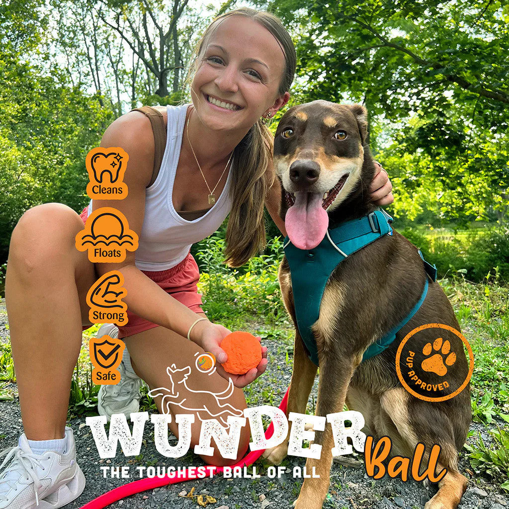 WUNDERball – Best Fetch Toy