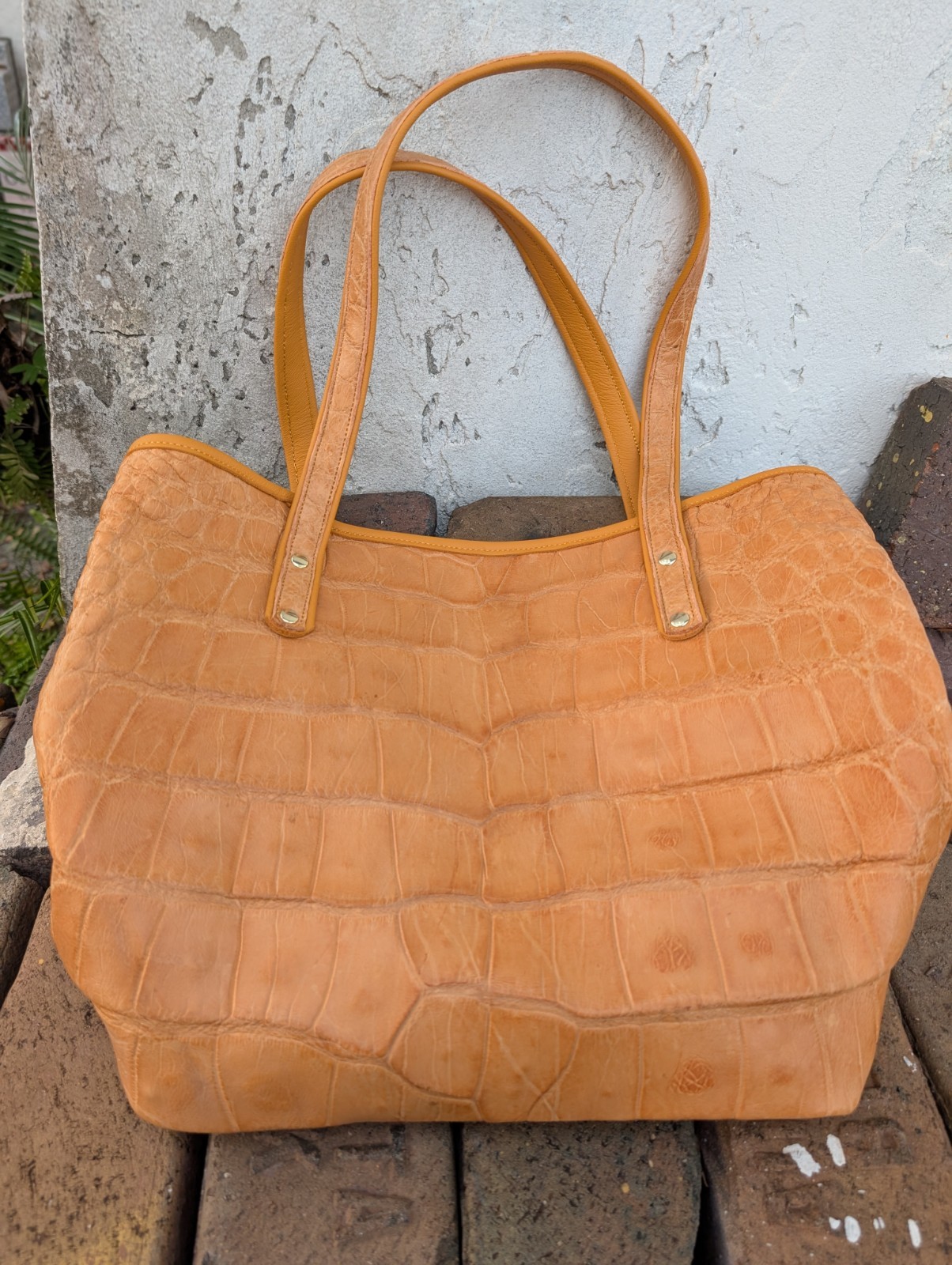 Genuine Wild Alligator Ladies Carry Bag Purse Tote gator swamp leather MR61