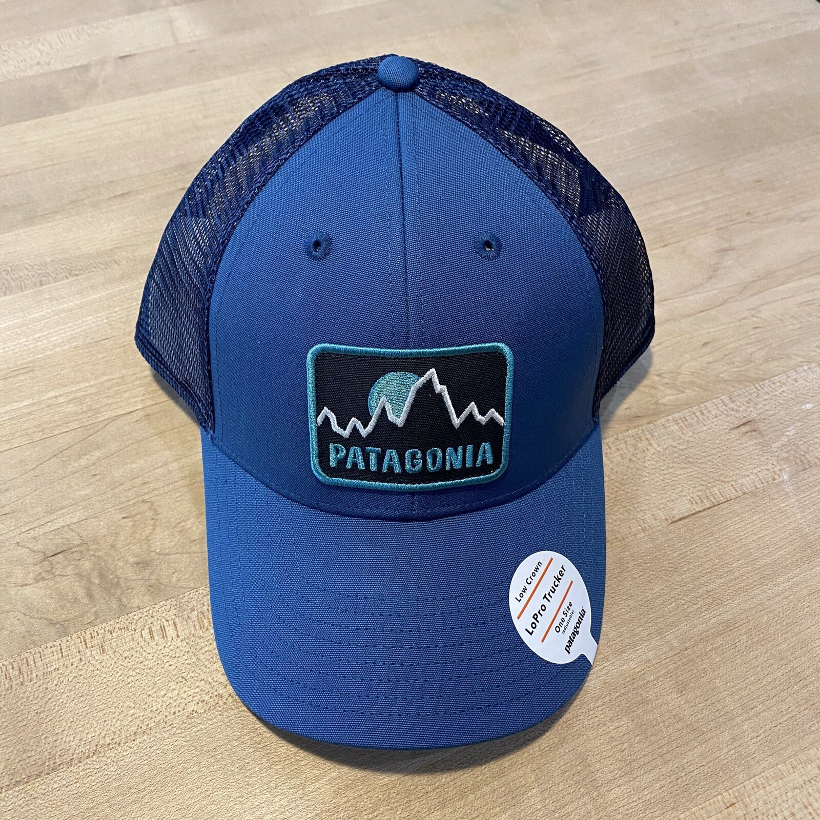 Patagonia Firstlighters Badge Lopro Trucker Hat – New With Tags – Glass Blue