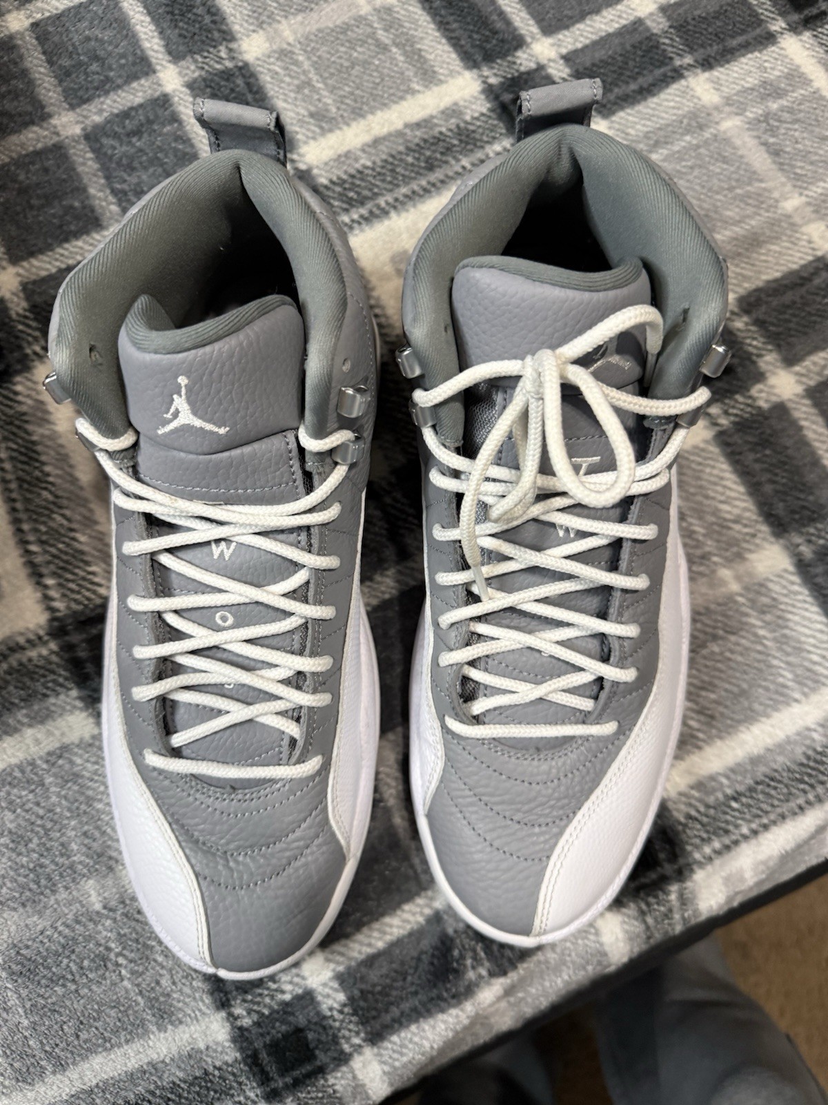 10.5M Jordan Air Jordan 12 Retro Stealth Gray og all