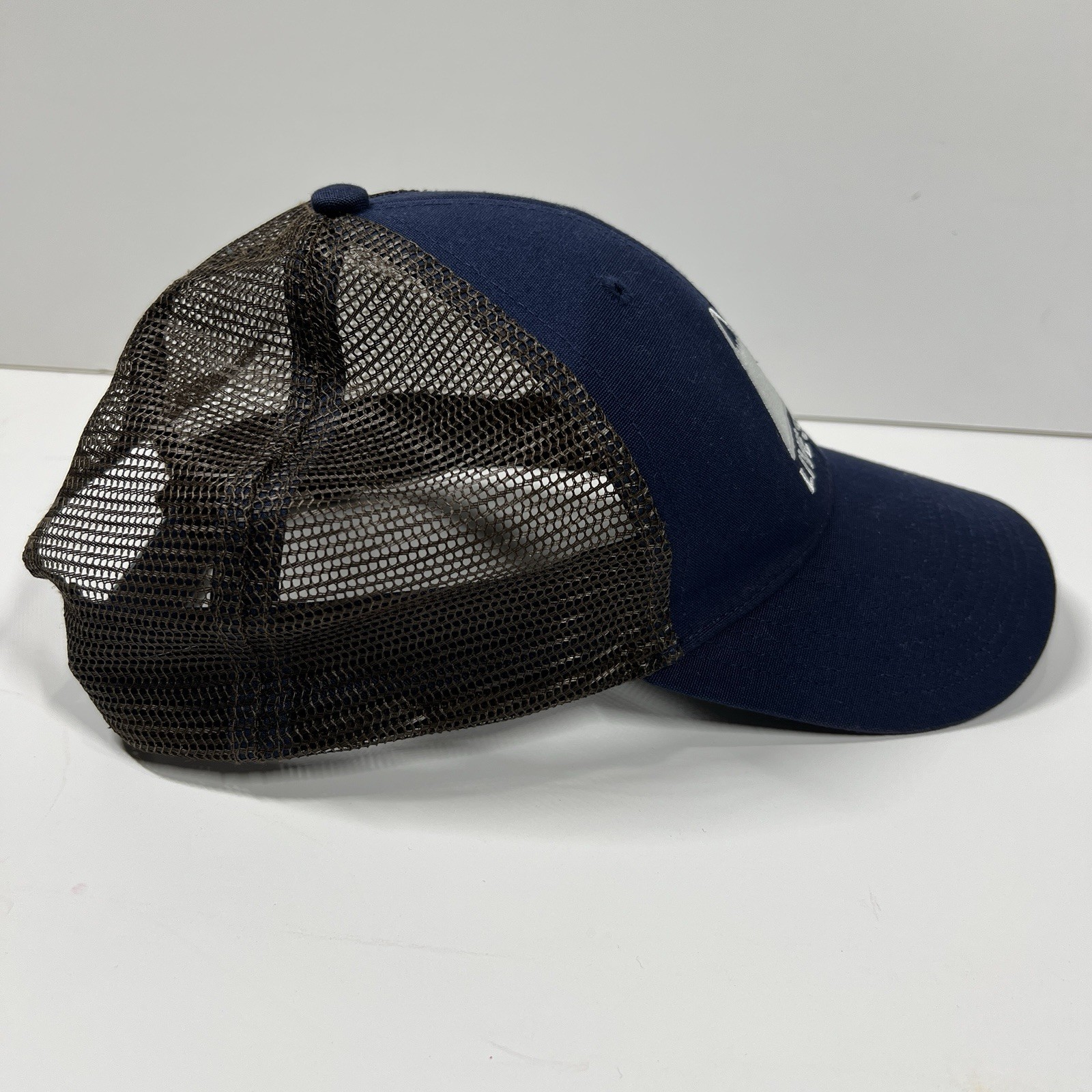 Patagonia Hat Mens Blue Live Simply Winding Lopro Trucker Cap Snap Back Hiking