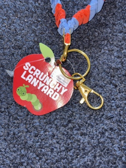 Scrunchie Stretchy Lanyards Teacher ID Holder with Clip
