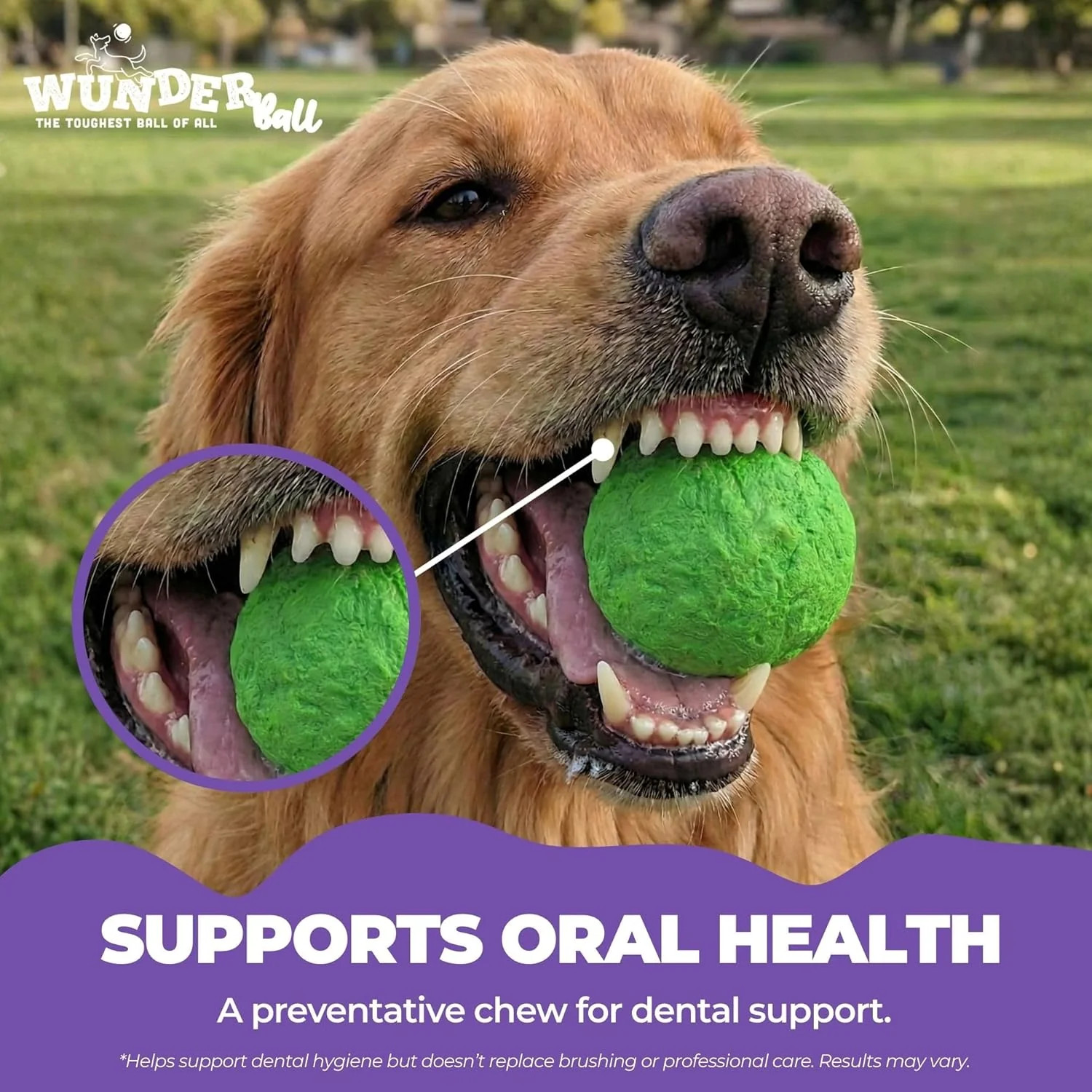 WUNDERball – Best Fetch Toy