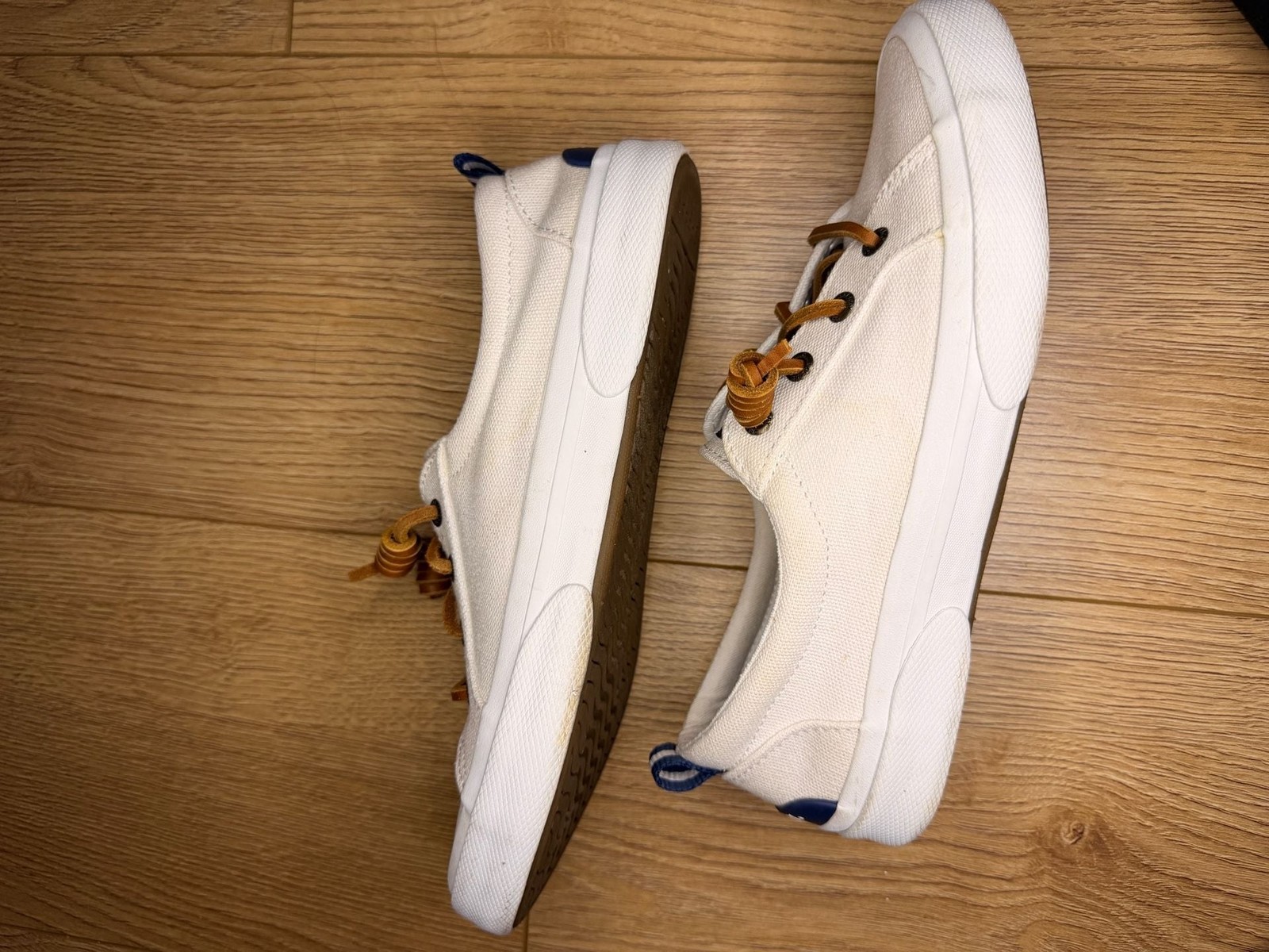 Sperry Women’s Pier Wave LTT Canvas Sneaker in White/Off-White