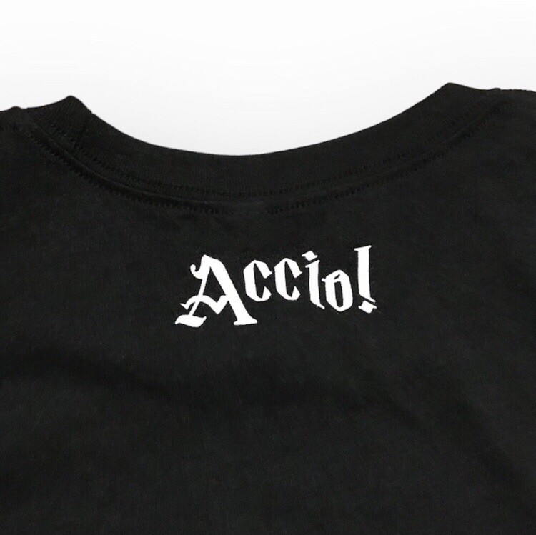 NEW Harry Potter Hogwarts Home Tee, Accio! Box Magic Delivered Halloween Small