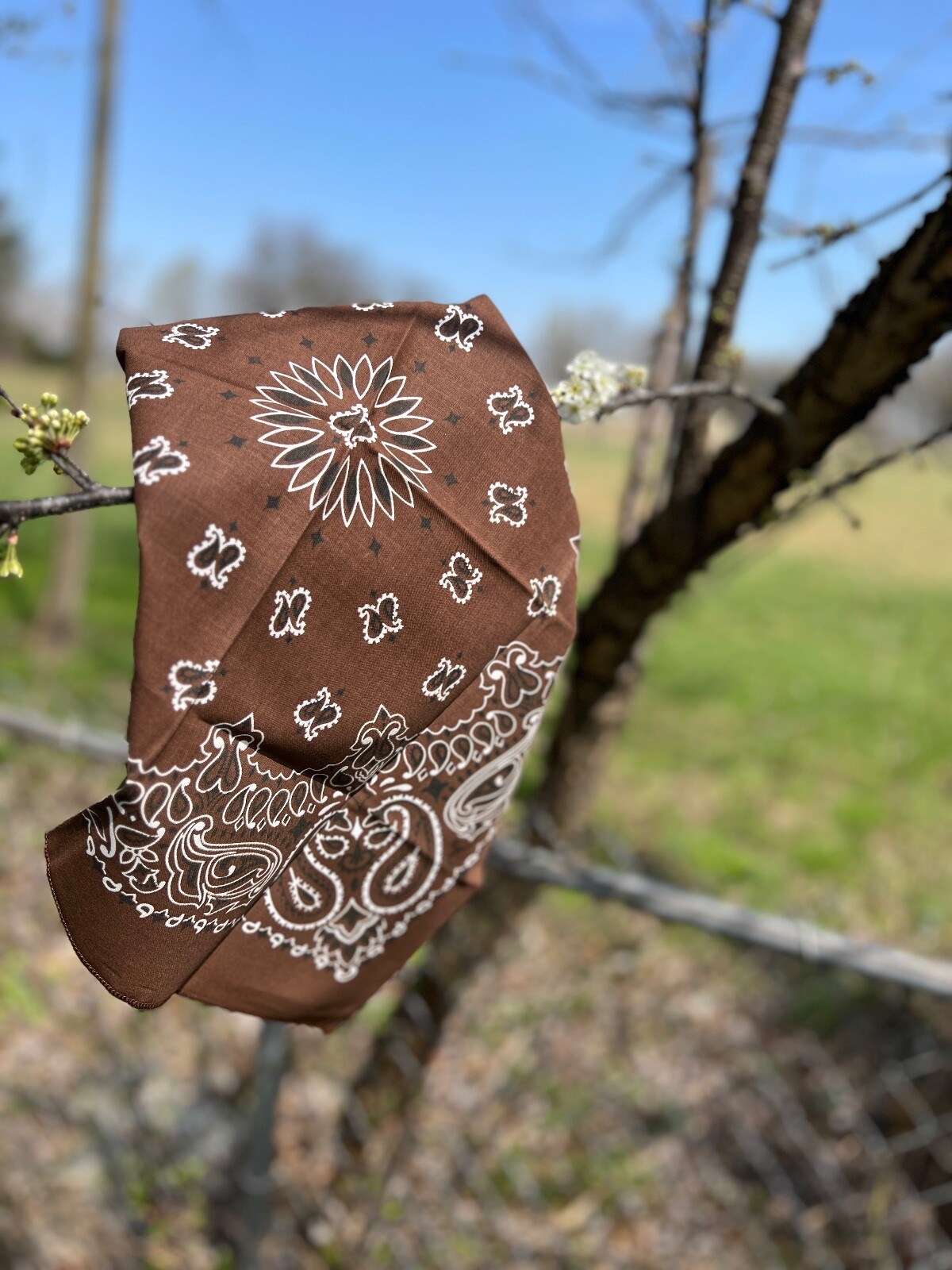 Cocoa Paisley Bandanna USA Made Approx 22×22 inch 100% Cotton Crafts and Fun