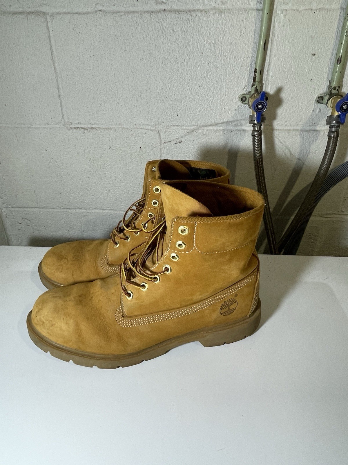 Timberland Men’s 6-inch Basic Waterproof Boot Size 11 US Wheat