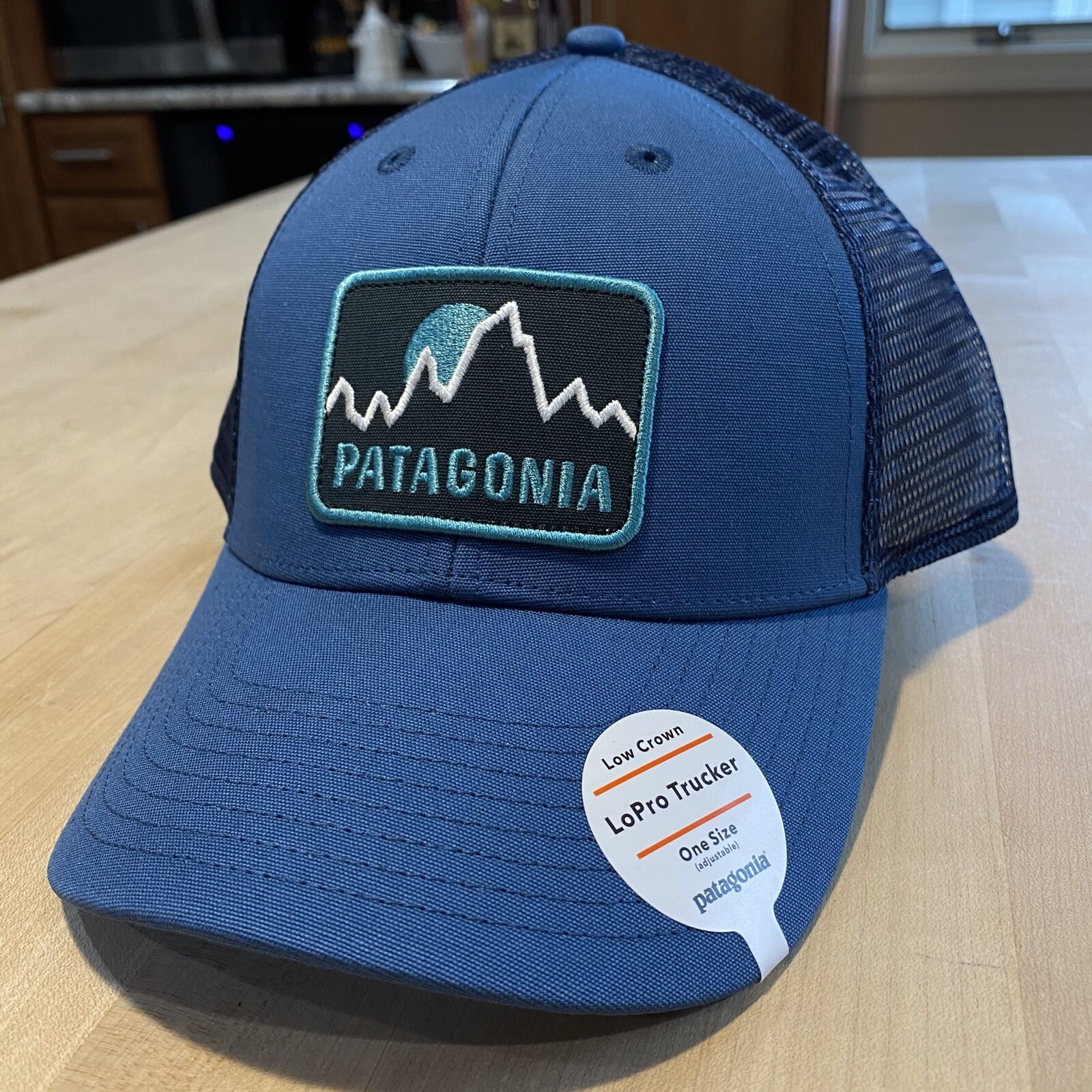 Patagonia Firstlighters Badge Lopro Trucker Hat – New With Tags – Glass Blue